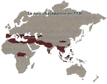 Répartition géographique de la bêta thalassémie en 1930