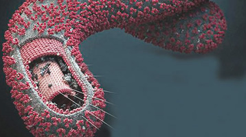 ebola-virus4